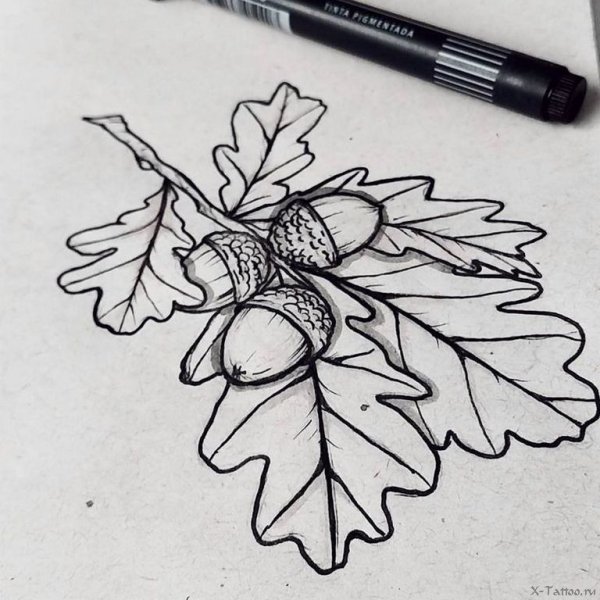 Листья эскиз