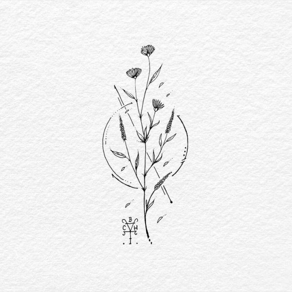 Тату растения эскизы