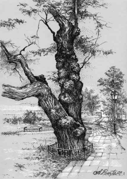 Графика дерево гелевой ручкой