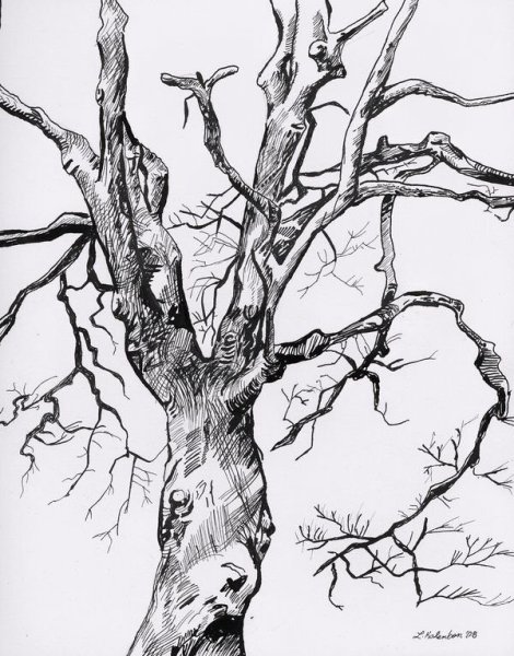 Дерево черной ручкой