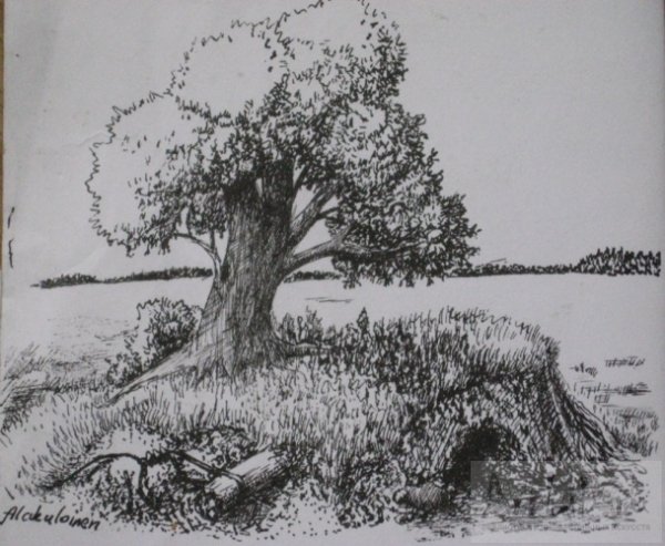 Графика дерево гелевой ручкой