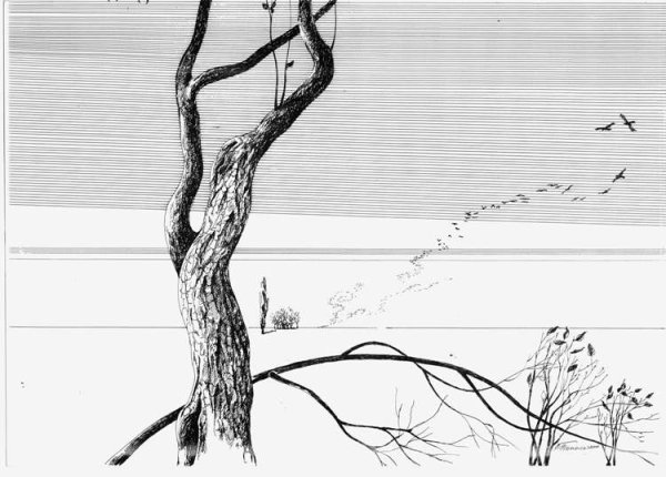 Дерево гелевой ручкой