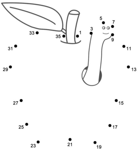 Соедини по цифрам