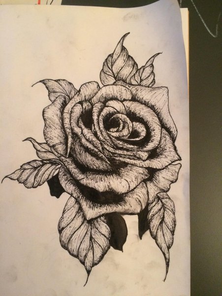 Роза ручкой