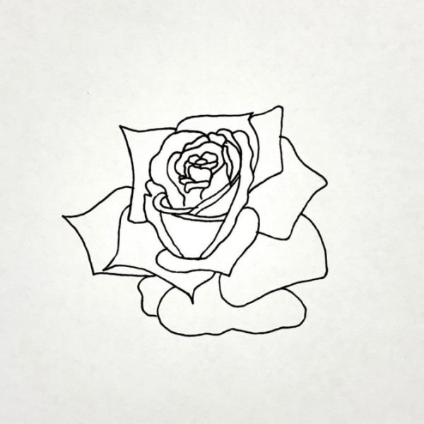 Роза черной ручкой