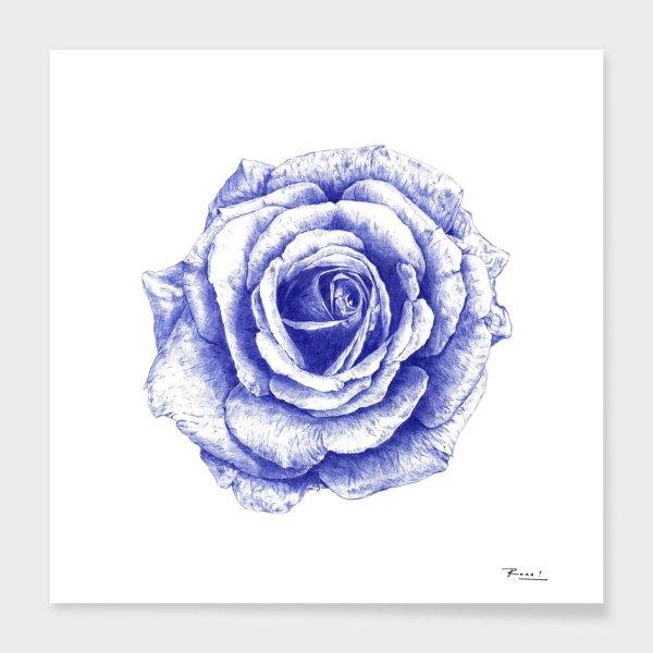 Роза шариковой ручкой