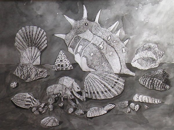 Ракушка гелевой ручкой