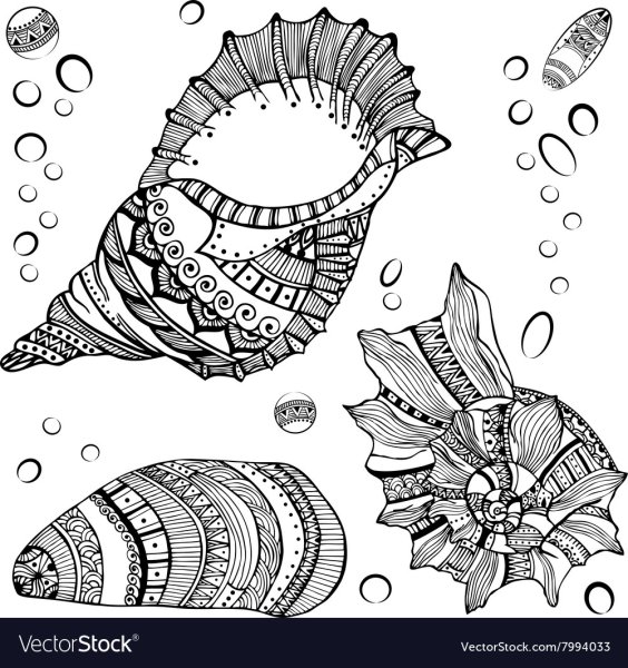 Стилизованные ракушки