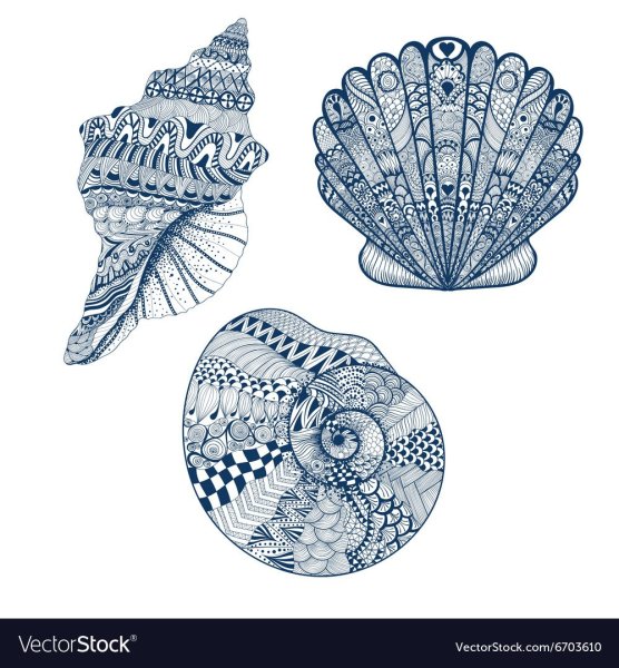 Раковины в Зентангл