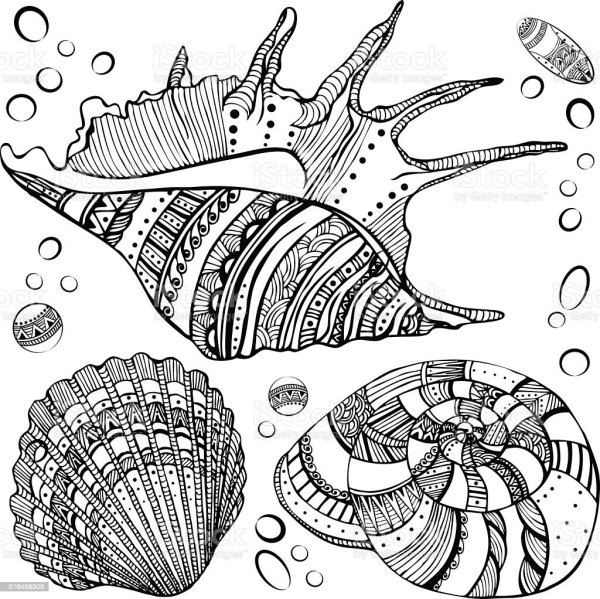 Раковины в Зентангл