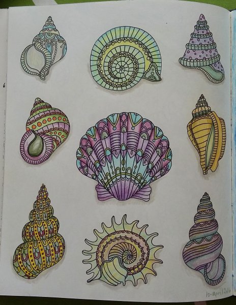 Стилизованные ракушки