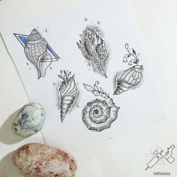 Морская Ракушка тату