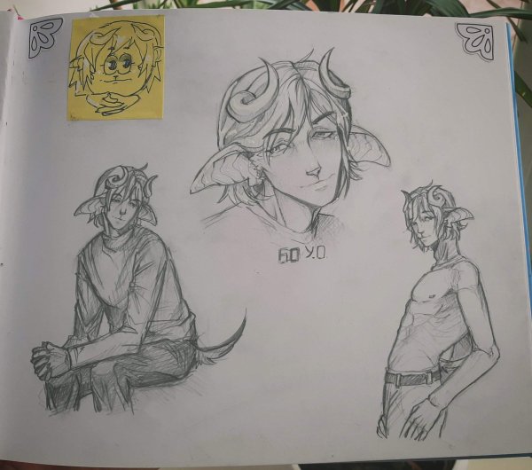 Сасаки Хайсе дед инсайд