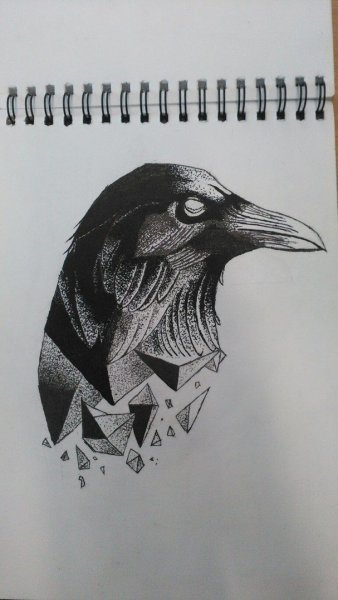 Ворон гелевой ручкой