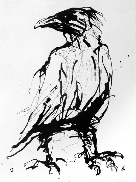 Ворона скетч