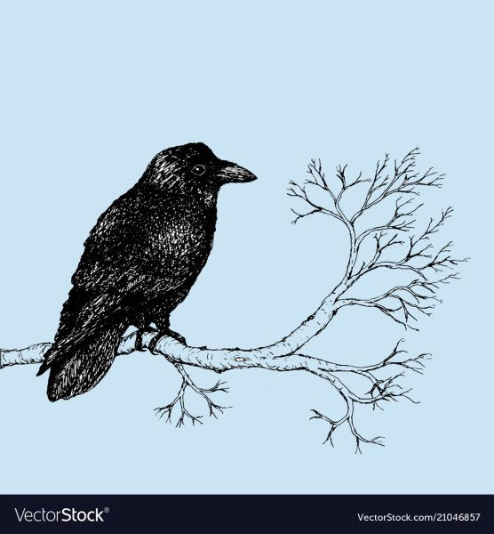 Вороны ручкой