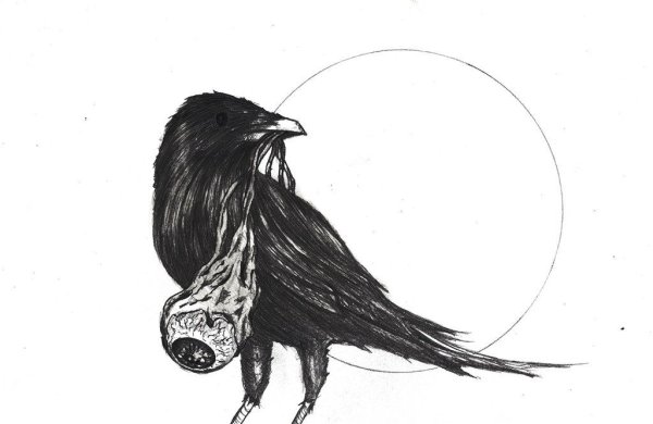 Ворона для срисовки