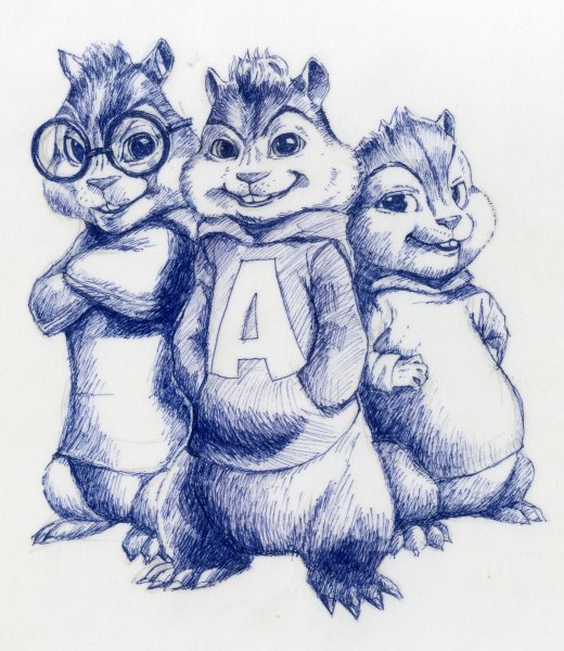 Бурундук рисунок