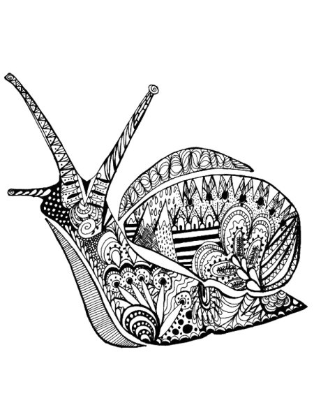 Зентангл улитка