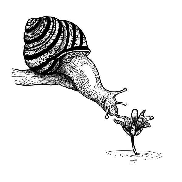 Стилизация улитки