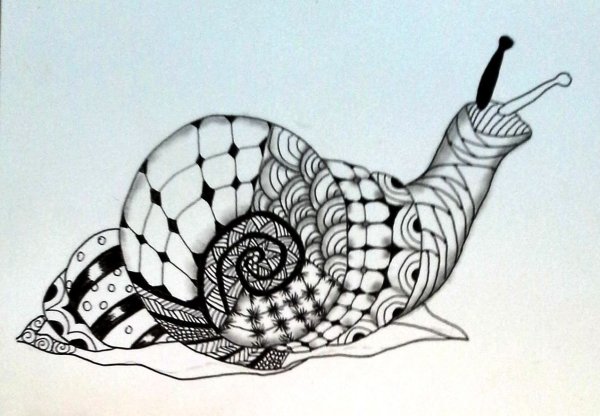 Стилизация улитки