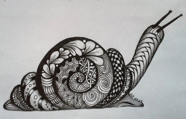 Зенарт черепаха