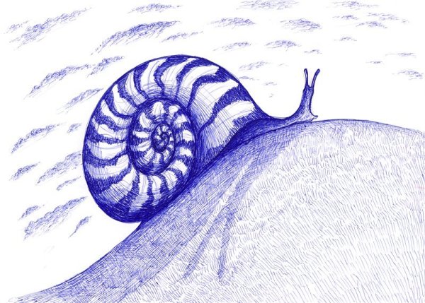 Улитка рисунок карандашом