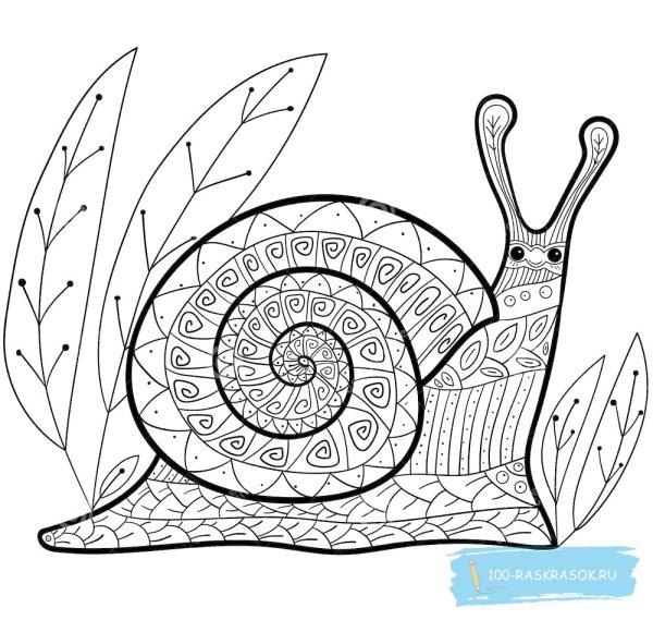 Графичная улитка