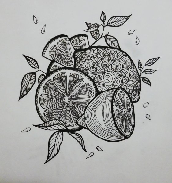 Декоративная Графика гелевой ручкой