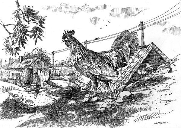 Петух рисунок ручкой