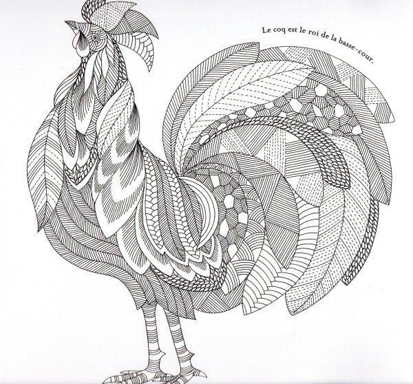 Милли Маротта раскраски