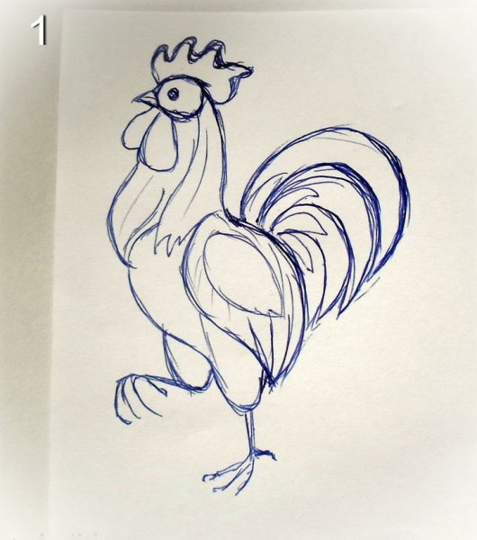 Петух рисунок ручкой