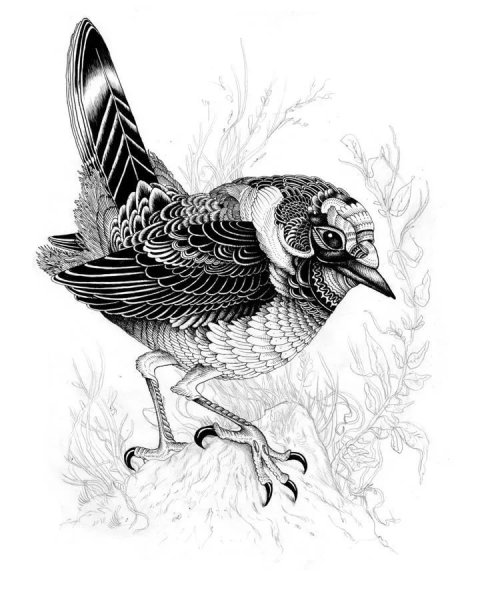 Птицы тушью