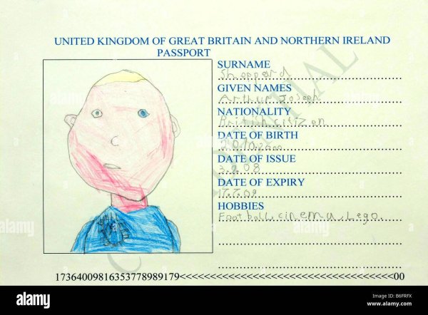 Паспорт рисунок