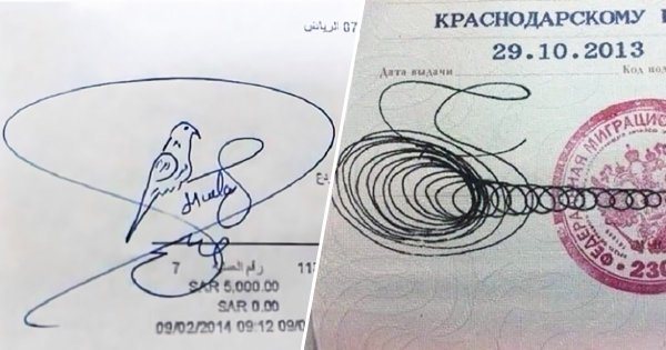 Красивые подписи с птичкой