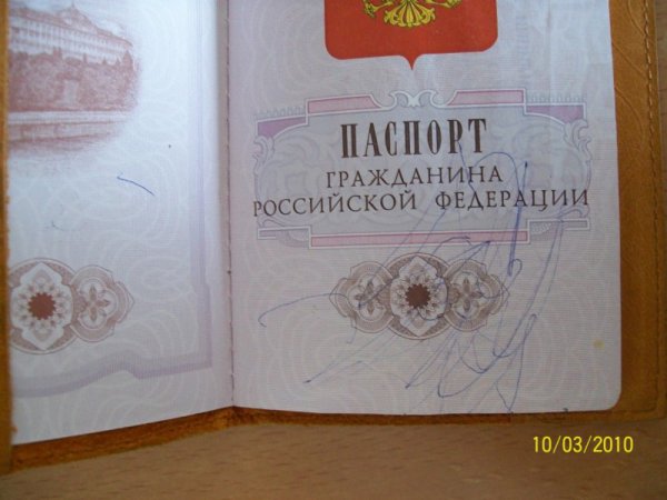 Разрисованный паспорт