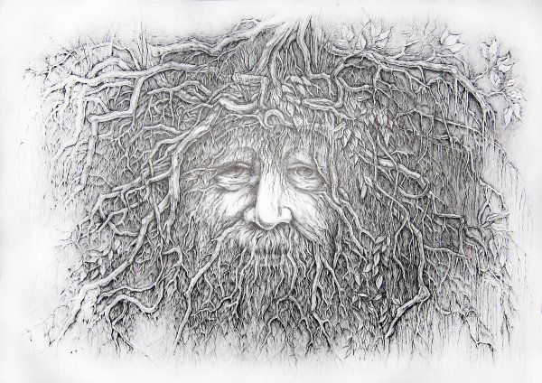 Старик дерево рисунок Графика