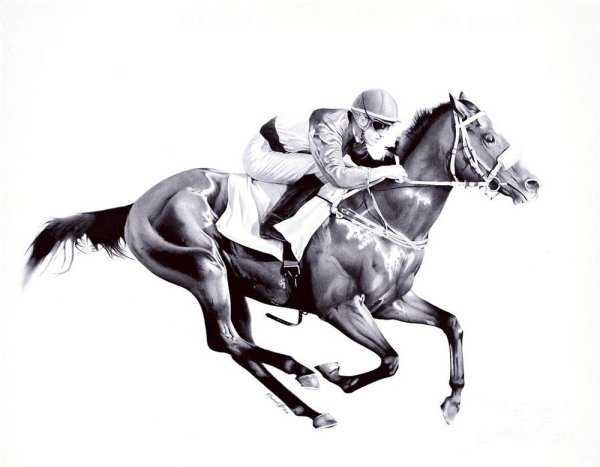 Андрей Полетаев картины шариковой ручкой