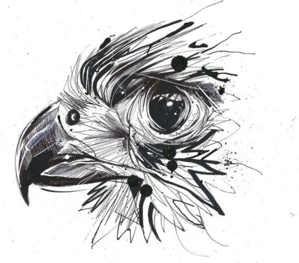 Птица эскиз