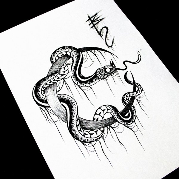 Тату змеи эскизы