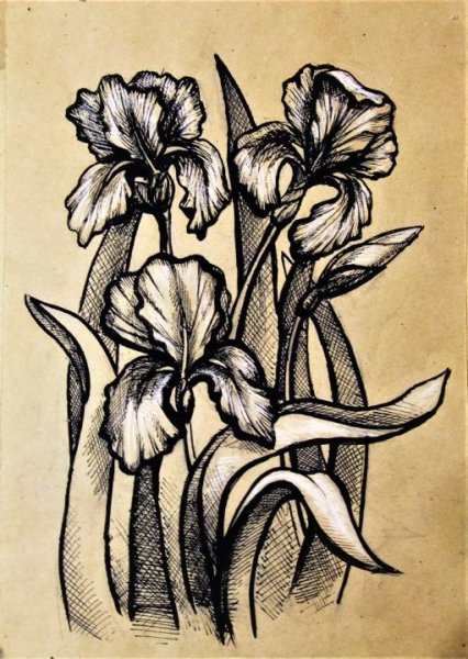 Ирис стилизация цветка