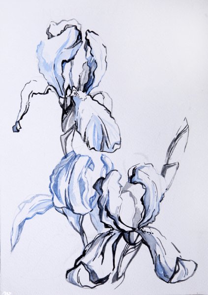 Ирис стилизация цветка