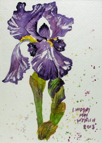 Тюльпаны скетч