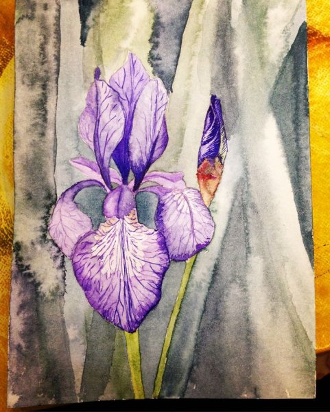 Необычные цветы эскиз