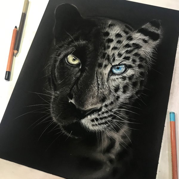 Пантера пастелью