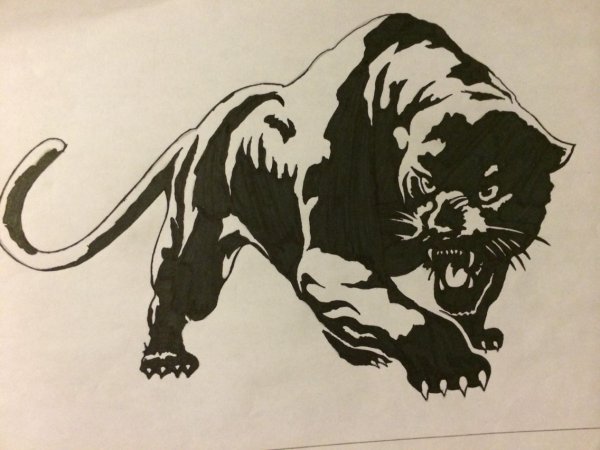 Эскизы татуировок пантера