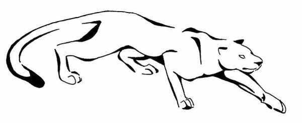 Пантера контур