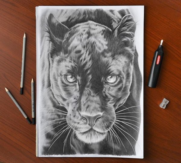 Пантера эскиз тату реализм