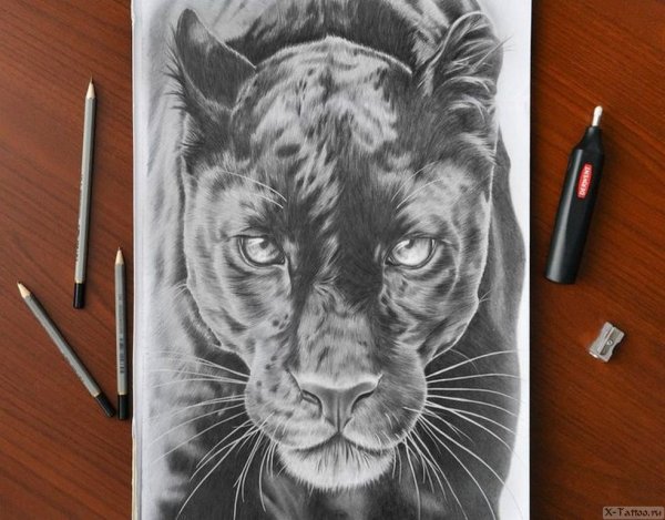 Пантера эскиз тату реализм