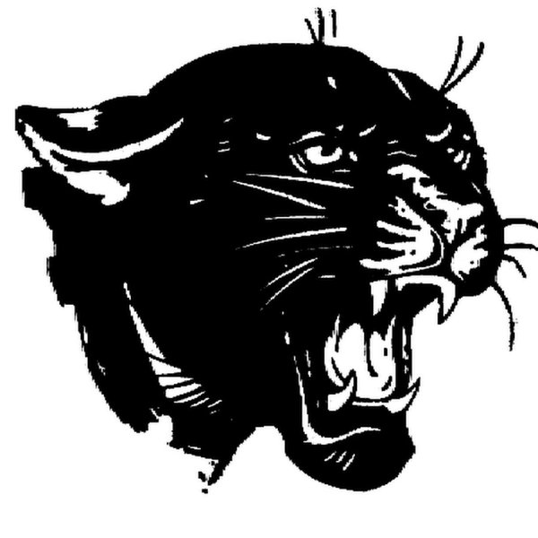 Голова пантеры на стену